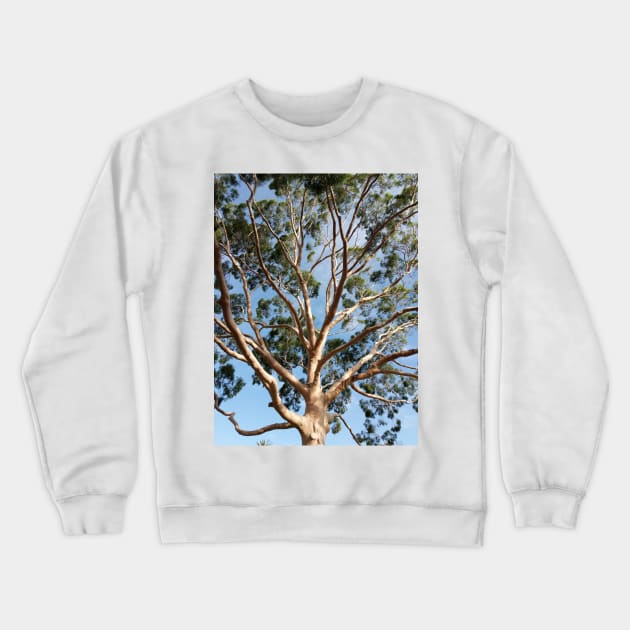 Gumtree Australia Crewneck Sweatshirt by PLANTONE